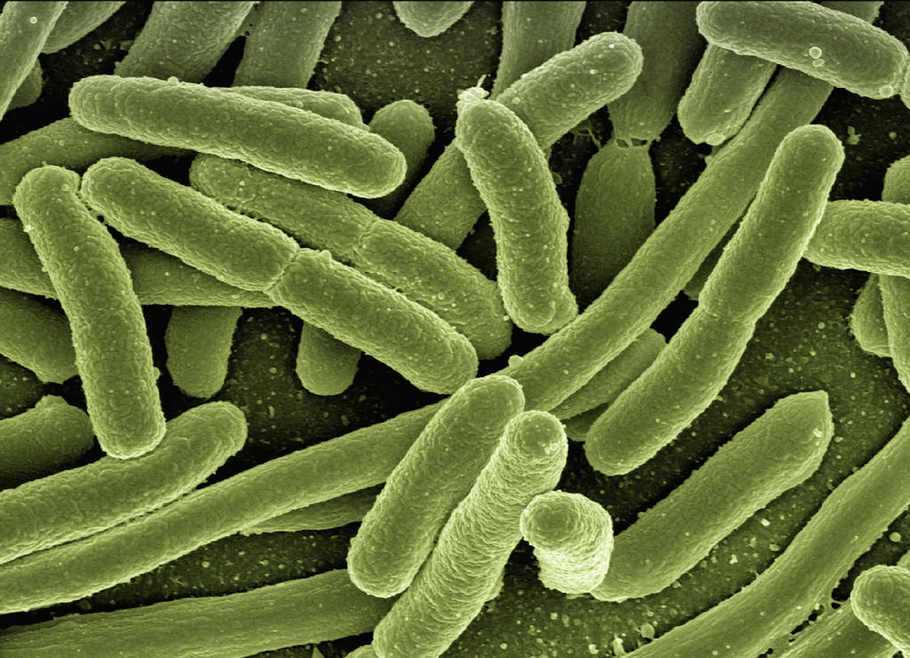 entdecken sie alles wissenswerte über das immunsystem: wie es funktioniert, welche rolle es im körper spielt und wie sie ihre immunabwehr auf natürliche weise stärken können.