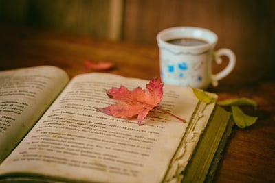 Welche Bücher sollte jeder gelesen haben?