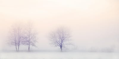 Wie friere ich Lebensmittel richtig ein?
